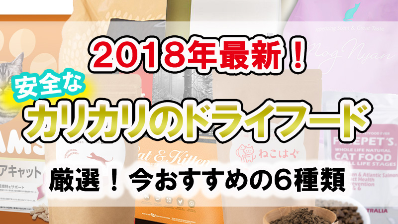 猫の餌！安全なカリカリのドライフードおすすめランキング６選！最新 